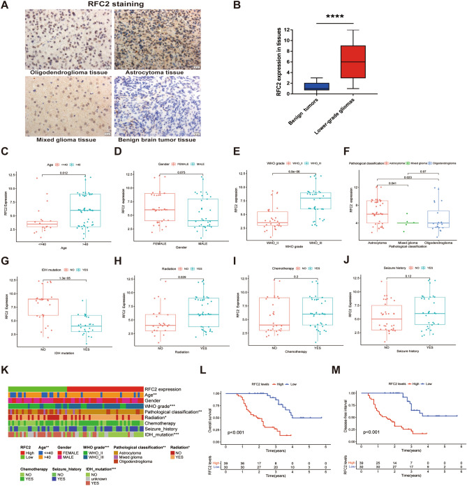 PMC8873322 – Fig11