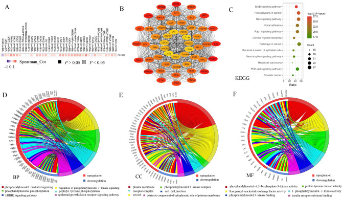 PMC8993854 – Fig7