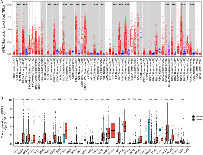 PMC10101991 – Fig1