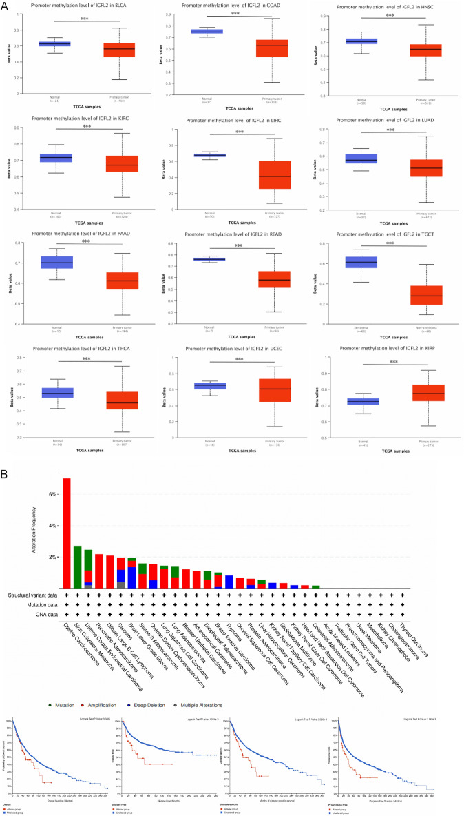 PMC10101991 – Fig6