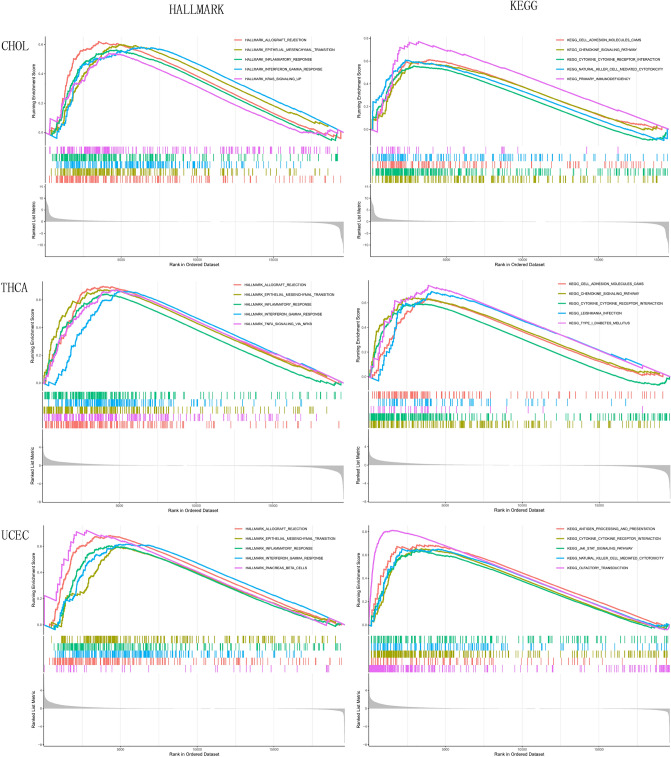 PMC10101991 – Fig7