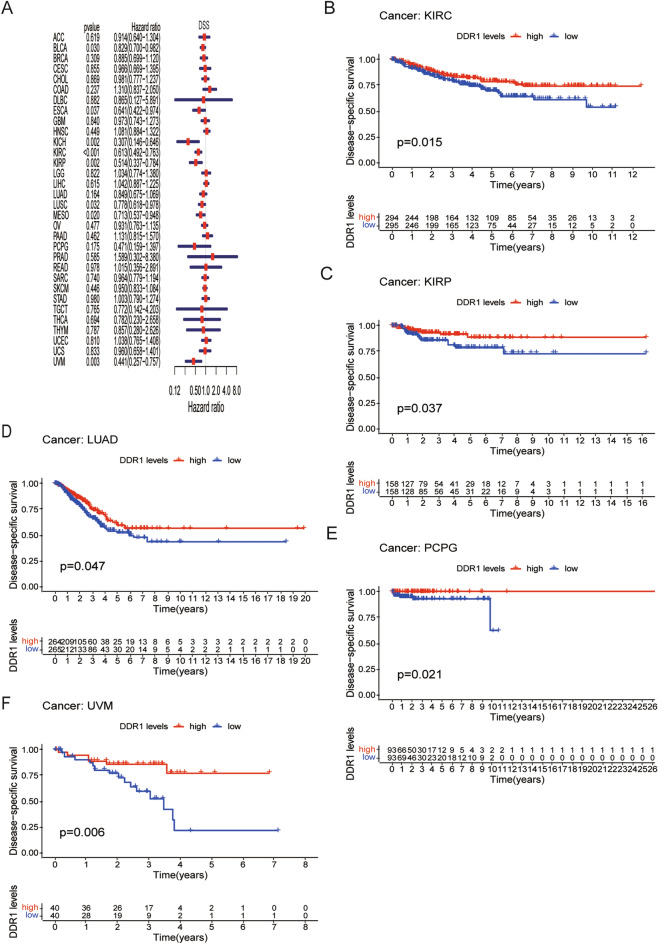 PMC10082773 – Fig4