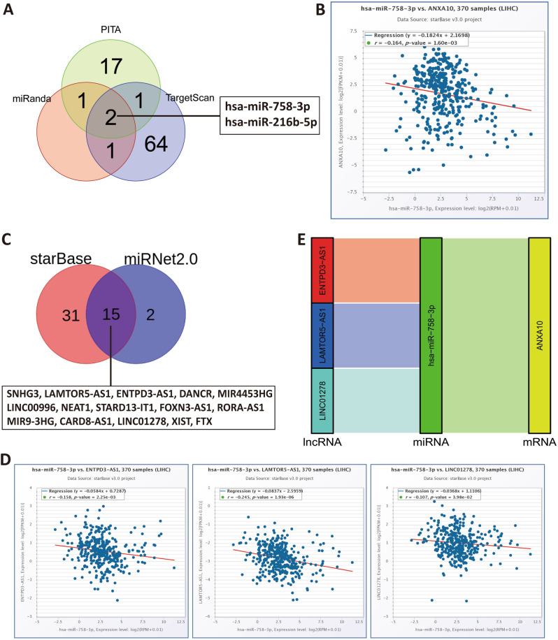 PMC9884230 – Fig10