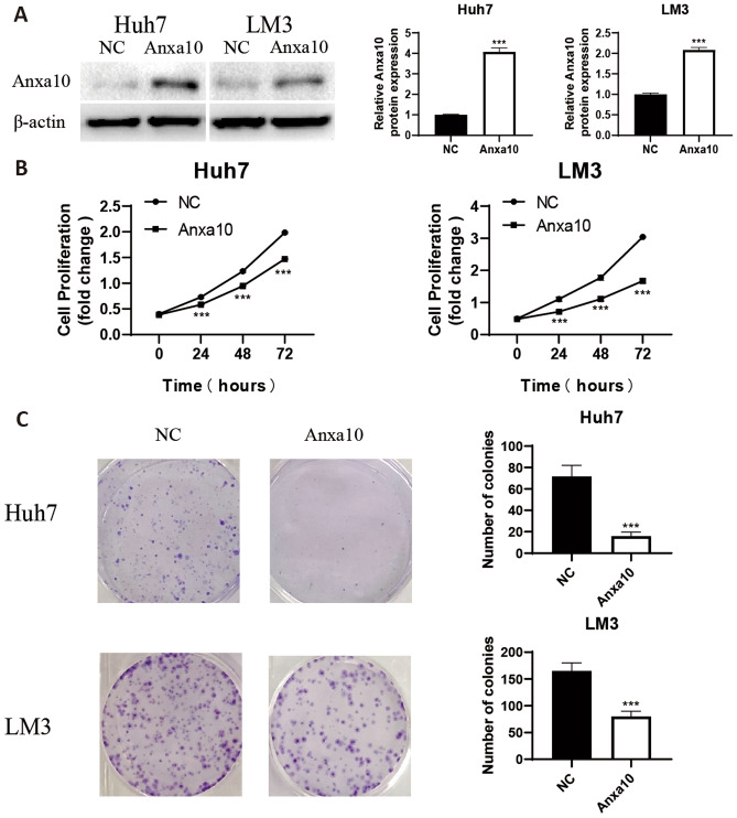 PMC9884230 – Fig11