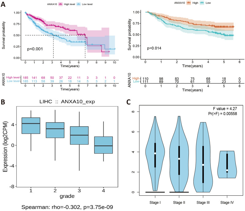 PMC9884230 – Fig2