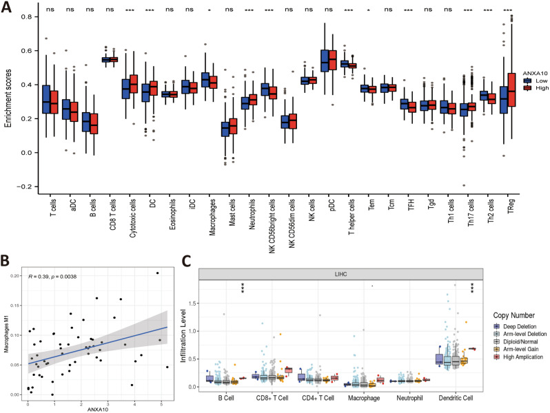 PMC9884230 – Fig4