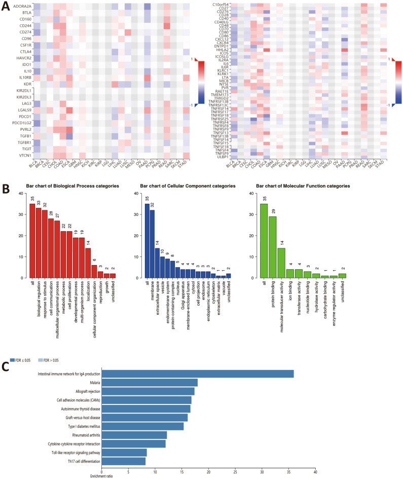 PMC9884230 – Fig6