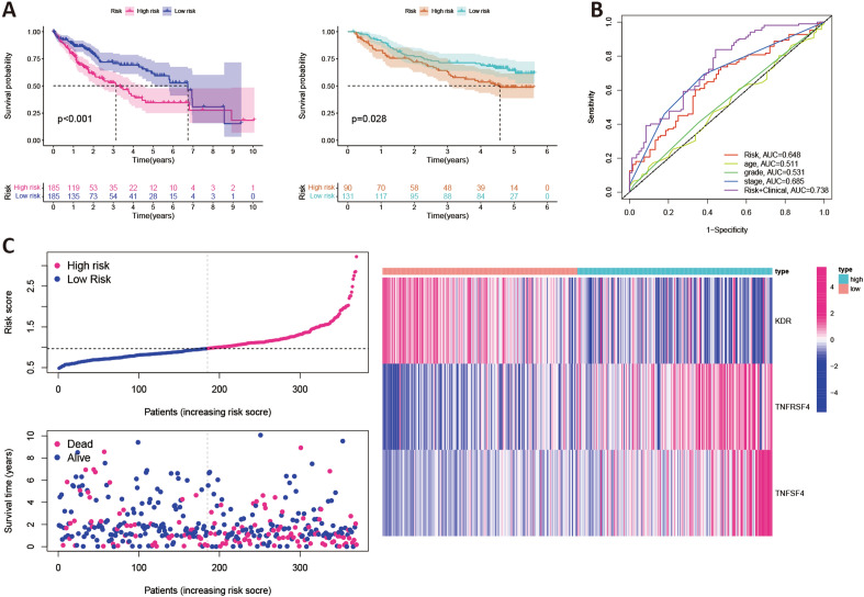 PMC9884230 – Fig7