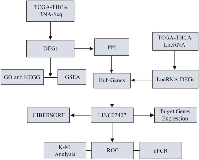 PMC10020161 – Fig10