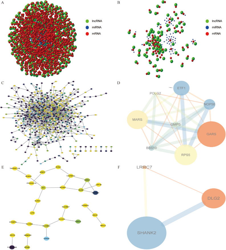 PMC10020161 – Fig5