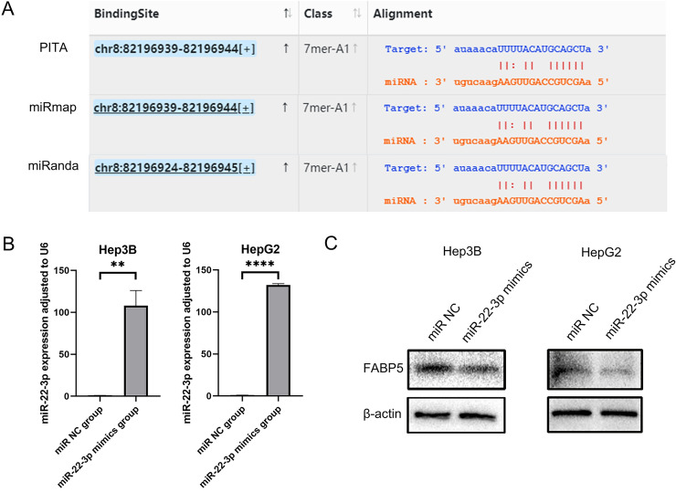 PMC10008585 – Fig4