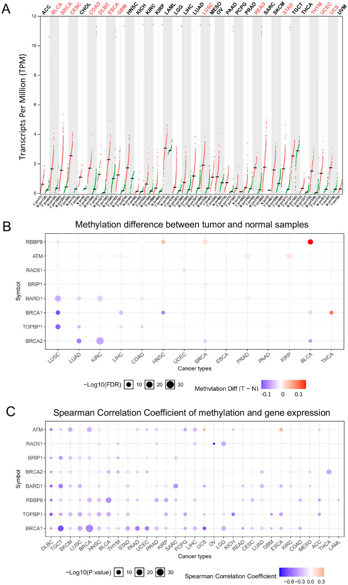 PMC10023799 – Fig1