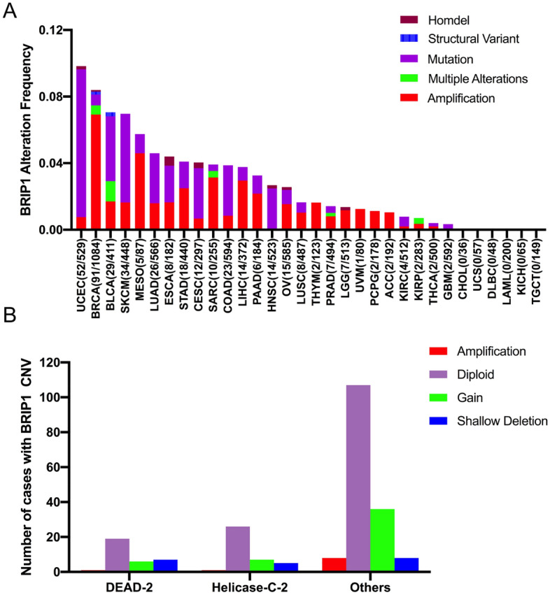 PMC10023799 – Fig2