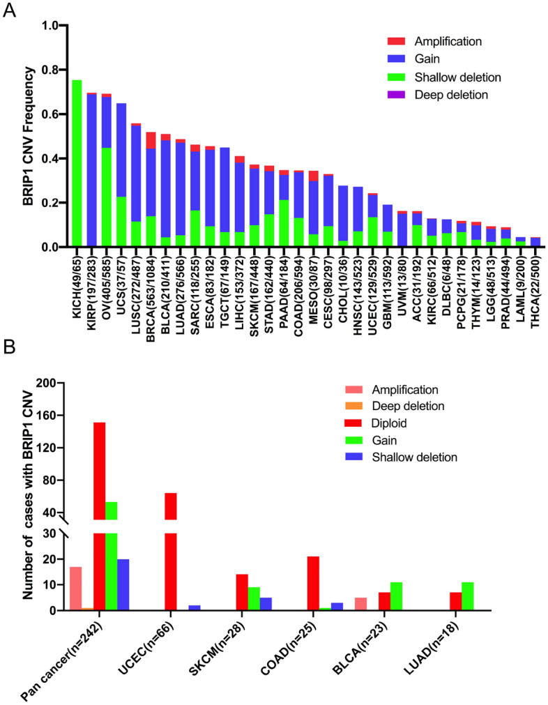 PMC10023799 – Fig6