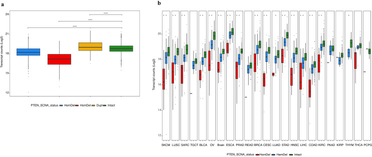 PMC10050165 – Fig2