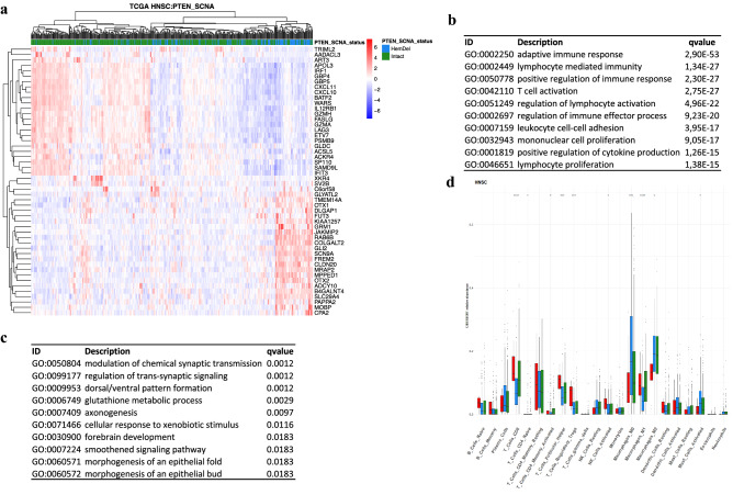 PMC10050165 – Fig5