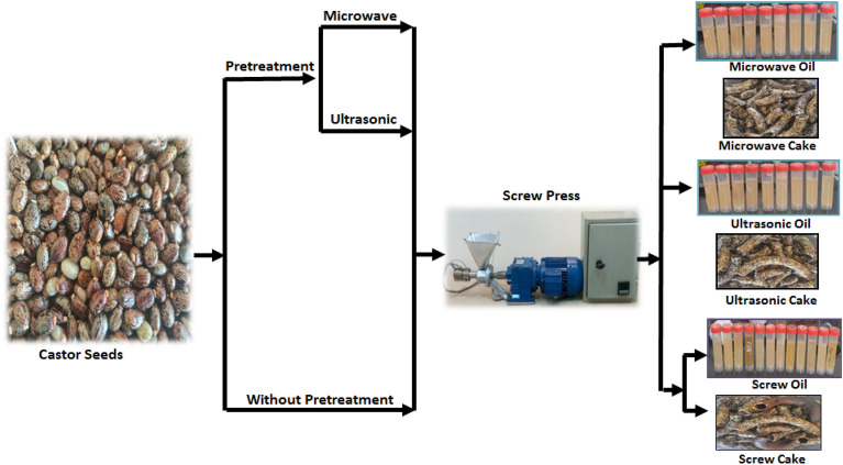 PMC10030652 – Fig1