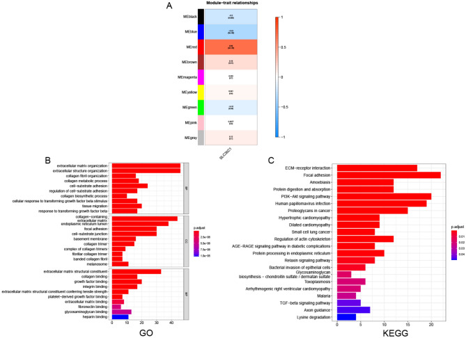 PMC10067962 – Fig11