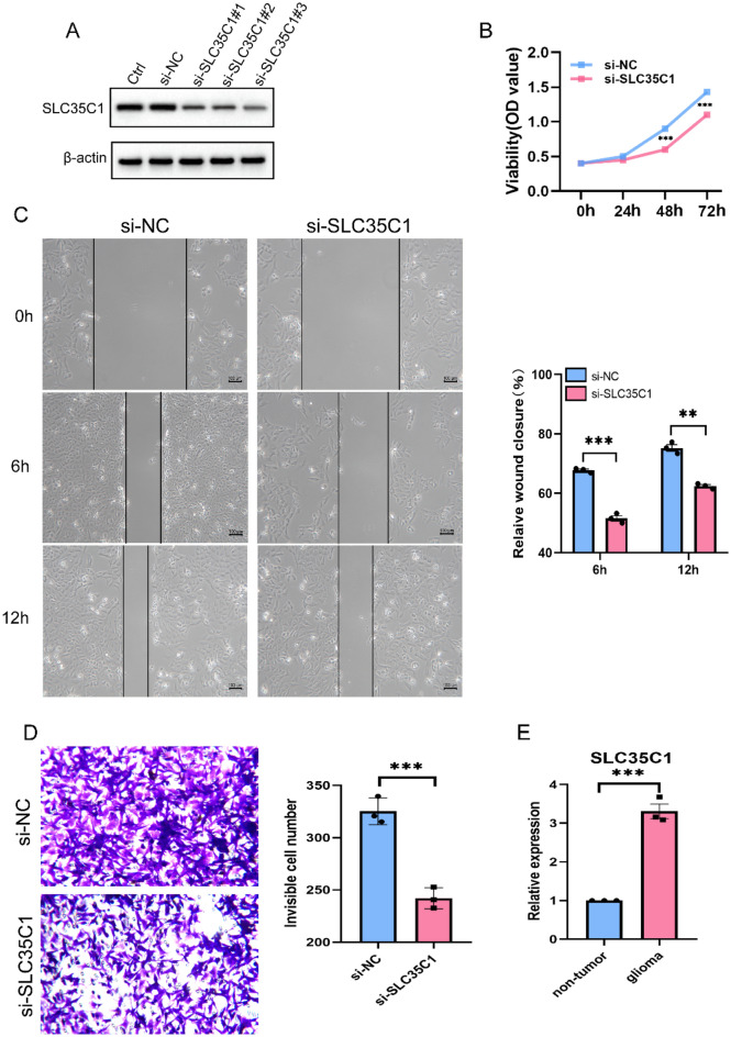 PMC10067962 – Fig12