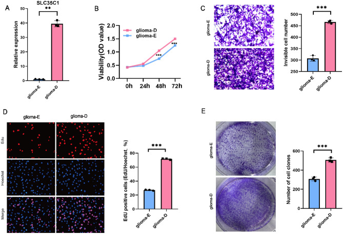 PMC10067962 – Fig13