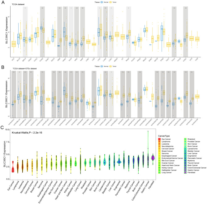 PMC10067962 – Fig1