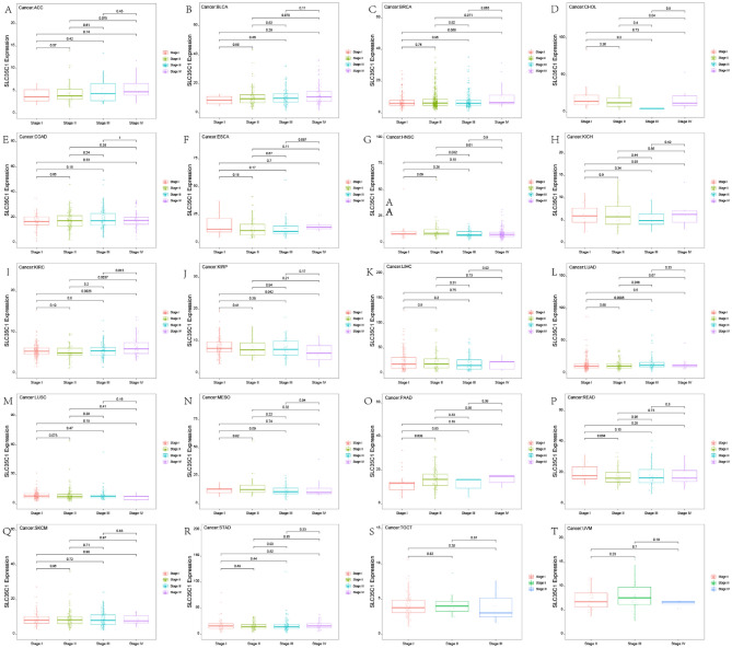 PMC10067962 – Fig2