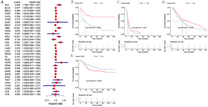 PMC10067962 – Fig4