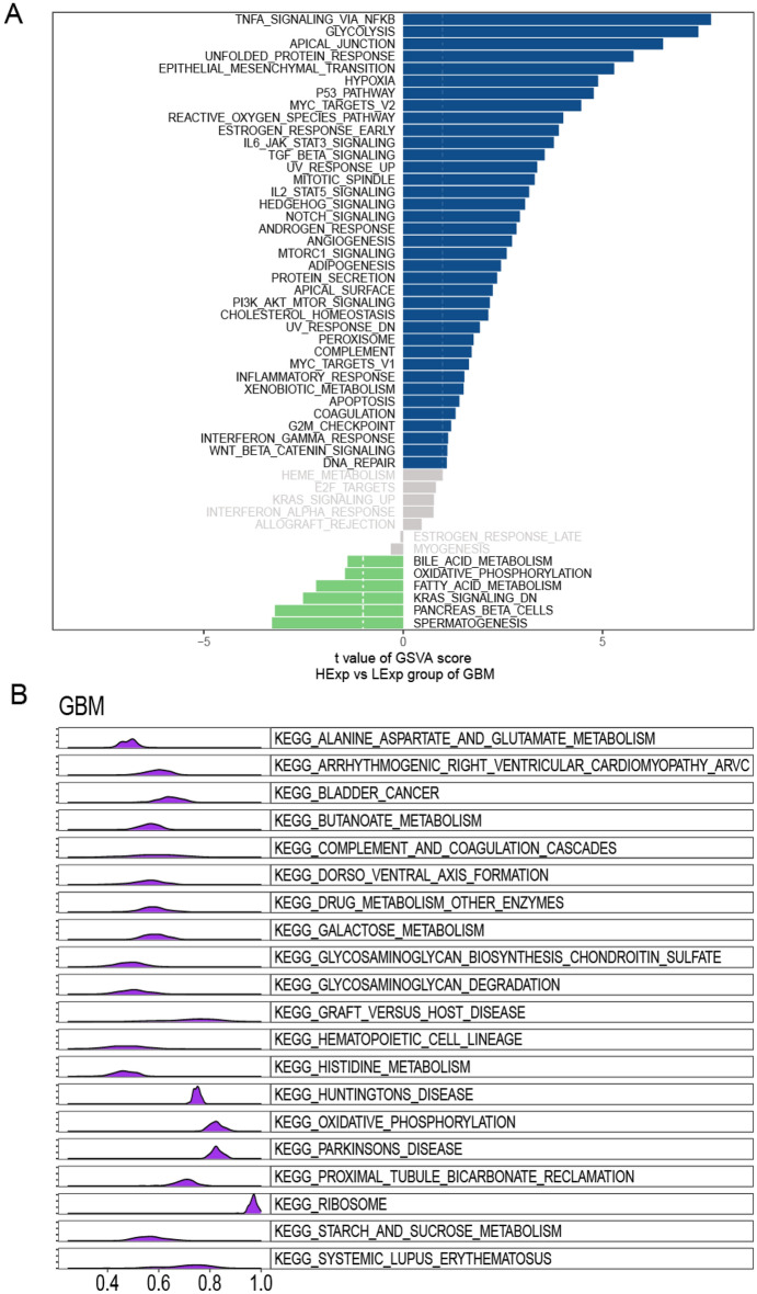 PMC10067962 – Fig9