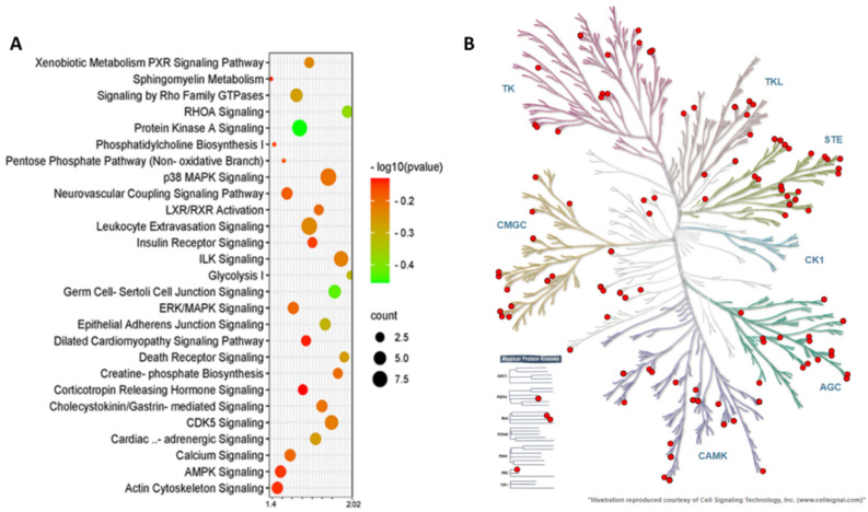 PMC10066235 – Fig4
