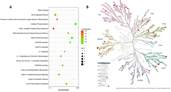 PMC10066235 – Fig6
