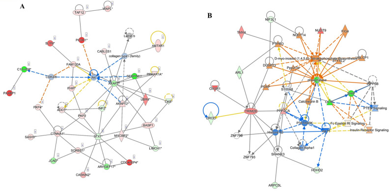 PMC10066235 – Fig7