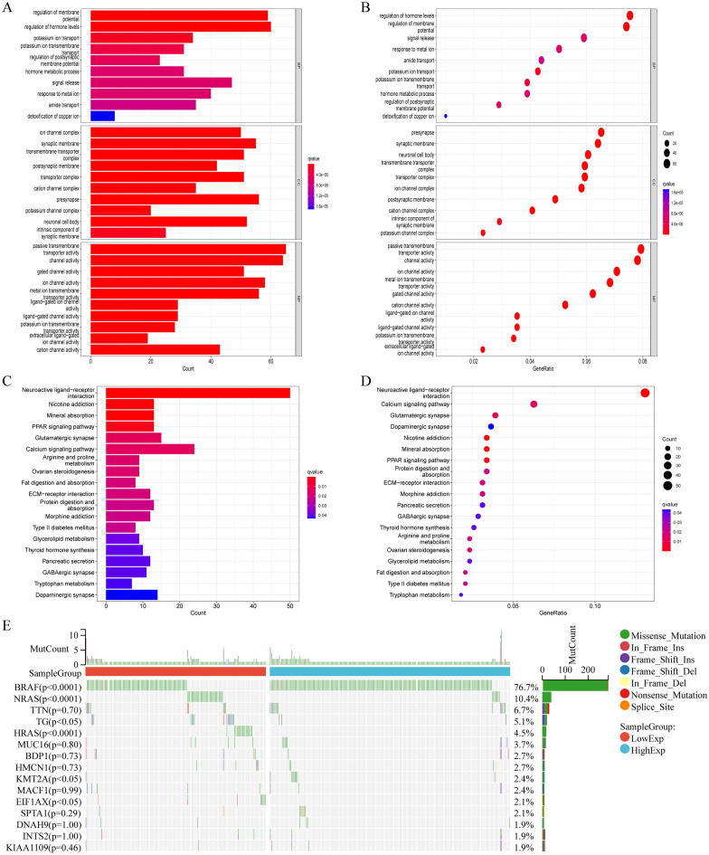 PMC10086052 – Fig3
