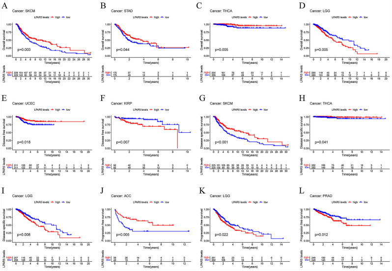 PMC10086052 – Fig6
