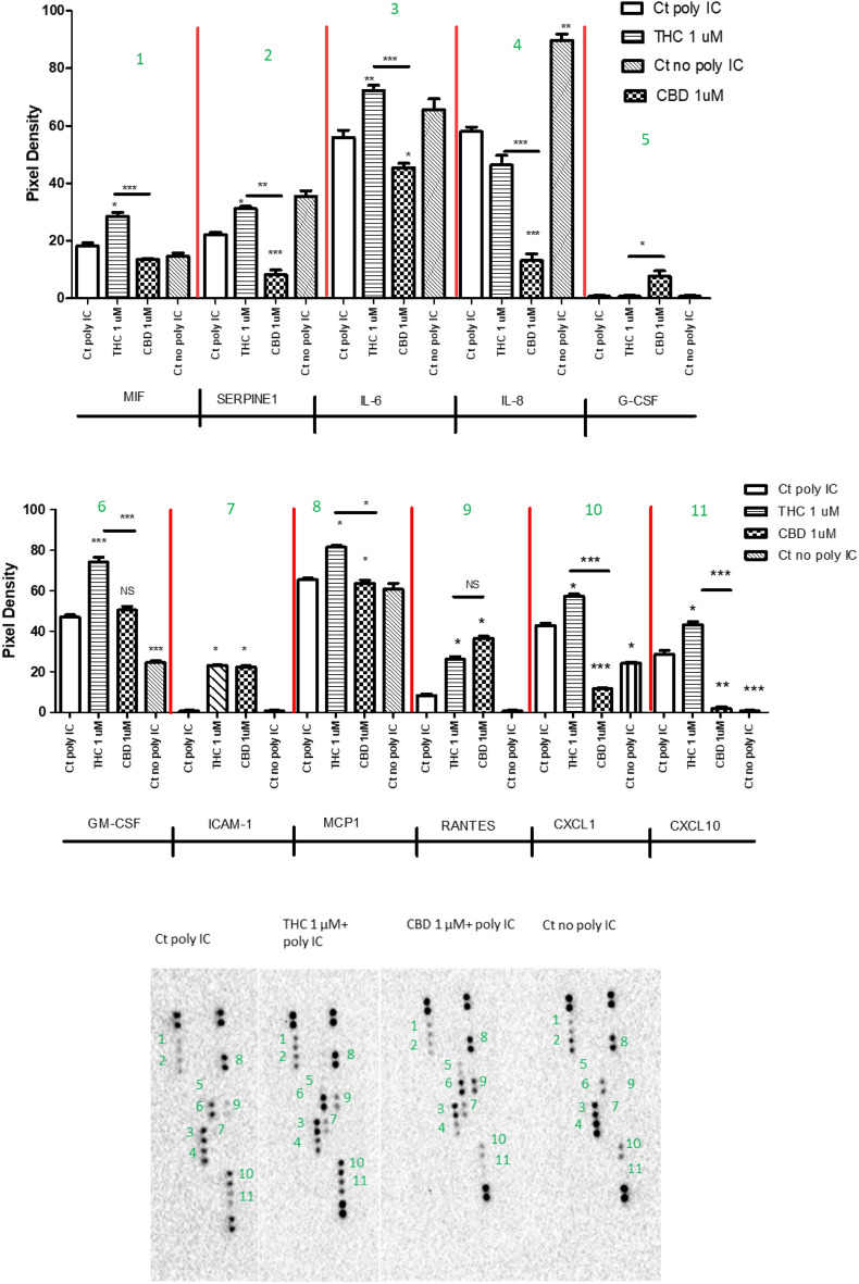 PMC10162654 – Fig4