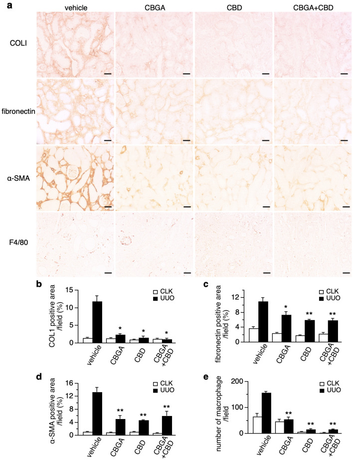 PMC10113213 – Fig6
