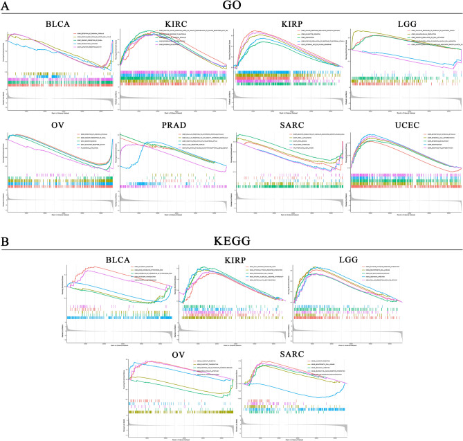 PMC10147611 – Fig7