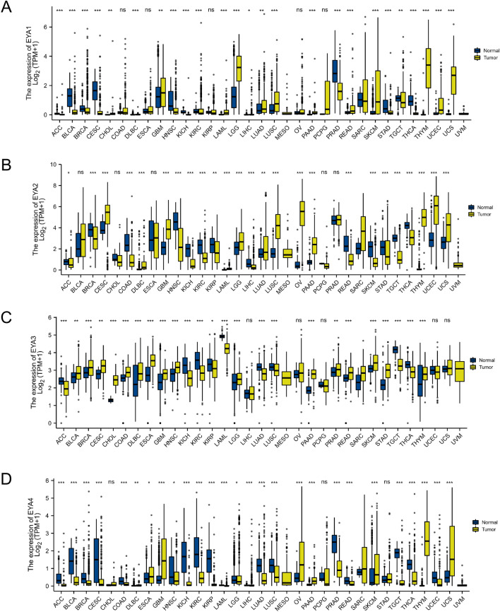 PMC10167363 – Fig1