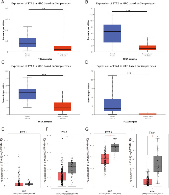 PMC10167363 – Fig2