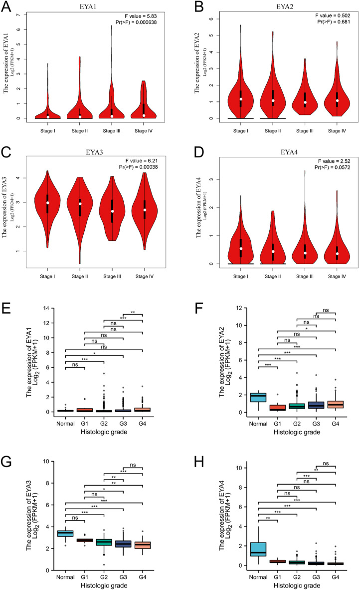 PMC10167363 – Fig4