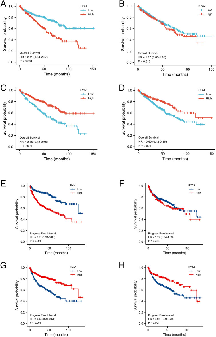 PMC10167363 – Fig5