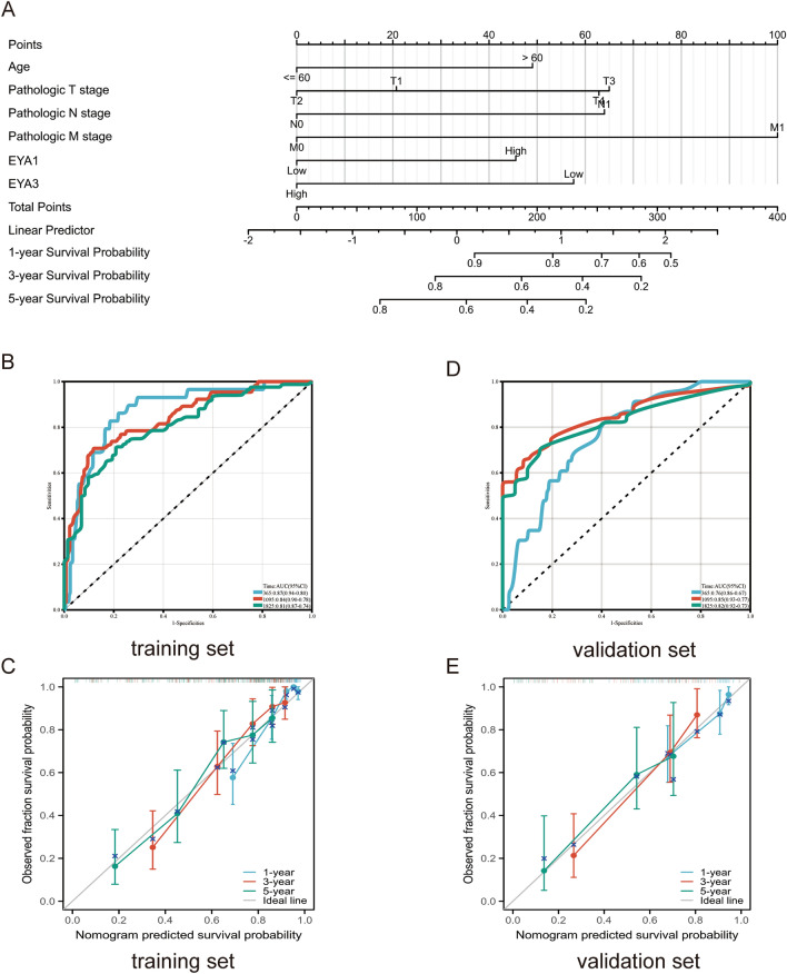 PMC10167363 – Fig6