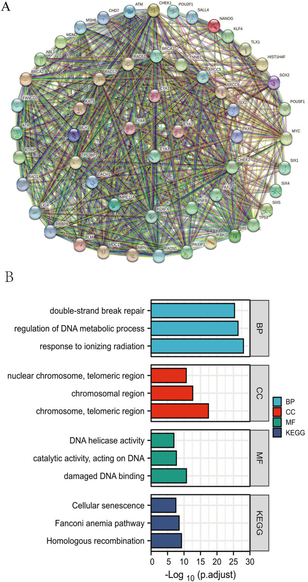 PMC10167363 – Fig8