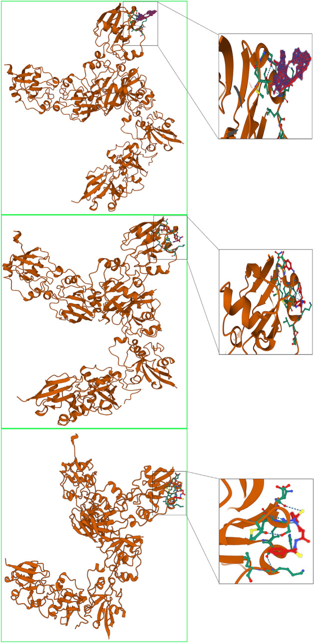 PMC10188527 – Fig13