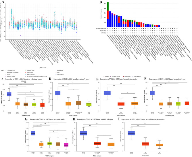 PMC10188527 – Fig14