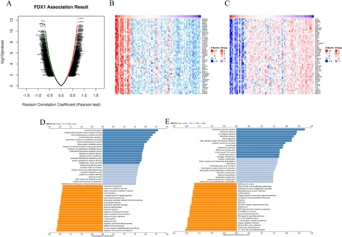 PMC10188527 – Fig15