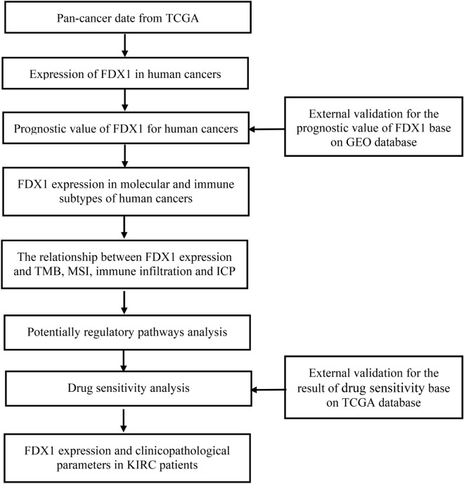 PMC10188527 – Fig1