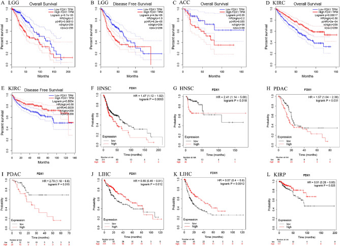 PMC10188527 – Fig3