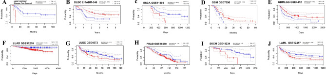 PMC10188527 – Fig4