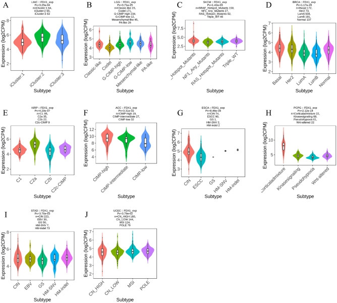 PMC10188527 – Fig6