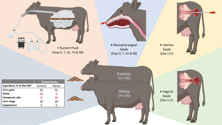 PMC10199011 – Fig1